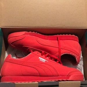 Red puma
